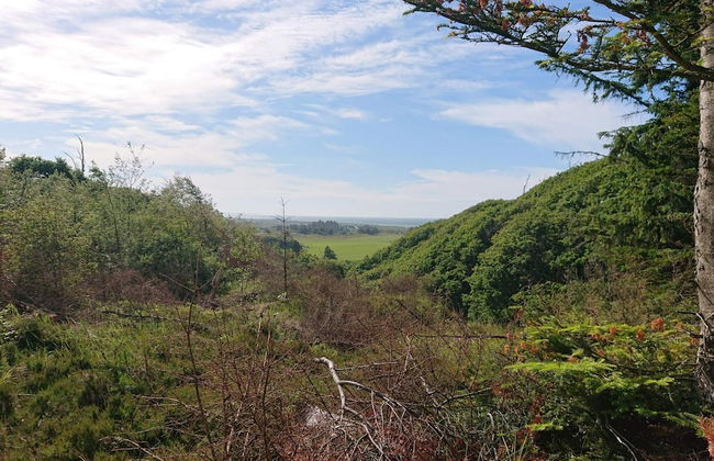 6 Person Holiday Home in Brovst-by Traum - Photo 20