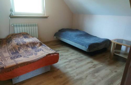 Białowieża Spanie na sianie Puszcza Białowieska - Foto 34