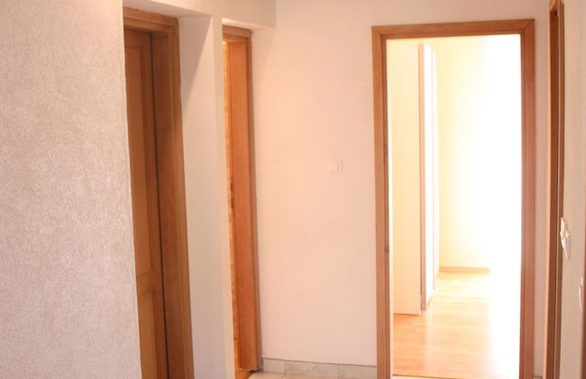 Apartments Miki Pag - Foto 14