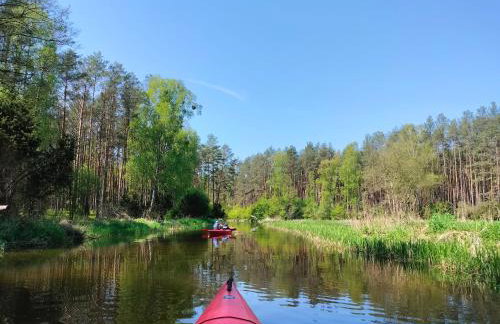 Leśna Chata kuracyjna nad rzeką z sauną w Borach Tucholskich - Foto 48