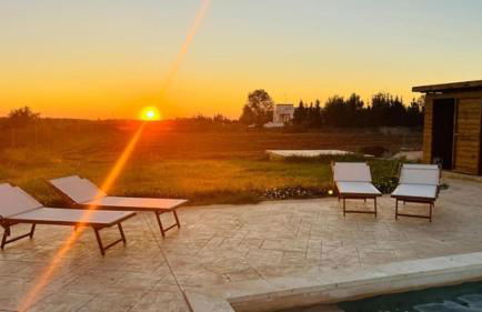 LaChorisia - Foto 16