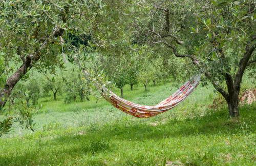 Biancopecora - Foto 25