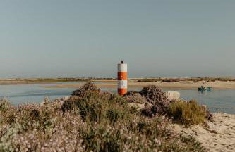 Vila do Sol - Foto 25