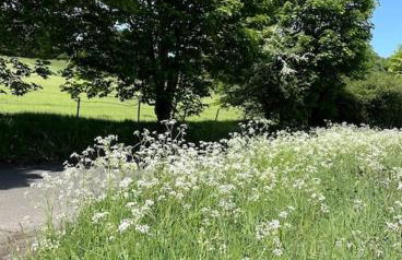 Little studio annexe - Foto 15