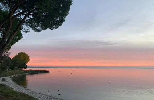 Casaflora_corteventurelli31 - Foto 44