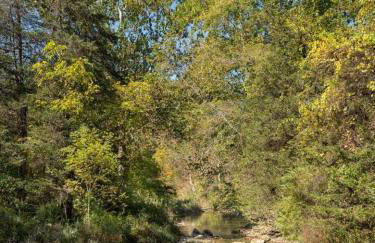 Willow Vale - Stunningly Designed Historical Icon with Hot Tub - Foto 22