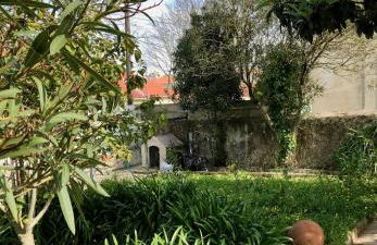 Sintra Nomad Lodge - Foto 2