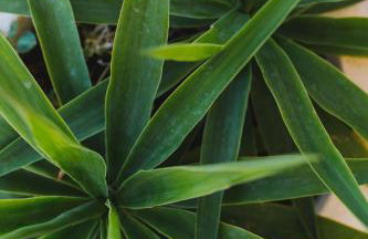 Apartmani Villa Marija - Foto 58