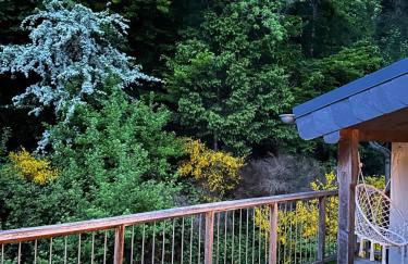 Dachterrassenwohnung - nah am See - Foto 10