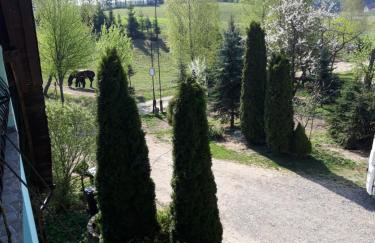 Agroturystyka Zielone Wzgorze - Foto 61