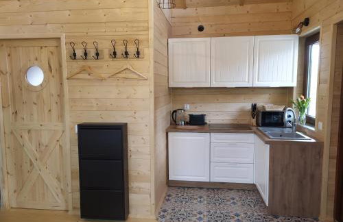 Domki przy jeziorze z prywatną plażą w Borach Tucholskich Pensjonat Alicja wczasy z dziećmi nowe luksusowe domki na skraju jeziora i lasu - Foto 39