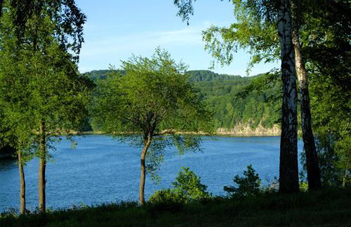 Brama Sanu - z prywatną linią brzegową Jeziora Solińskiego - pomosty - pontony - basen sezonowy - Foto 72