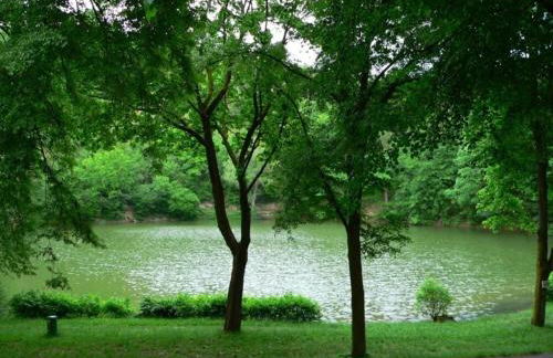 Ferienwohnung am turm - Foto 19