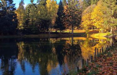 Ferienwohnung am Rennsteig - Foto 14