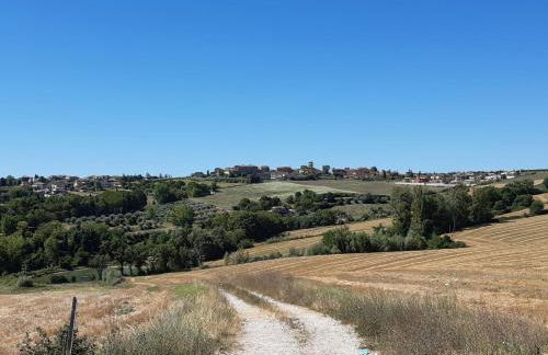 Casale in collina vista Assisi,Brufa di Torgiano - Foto 44