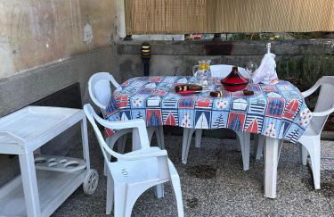 i tulipani - Foto 35