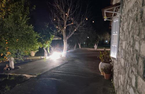 ΆΘΟΣ (ATHOS) - Foto 22