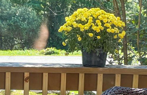 Saltbox 12F - Photo 23