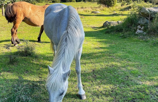 4 Star Holiday Home in Solvesborg-by Traum - Foto 12