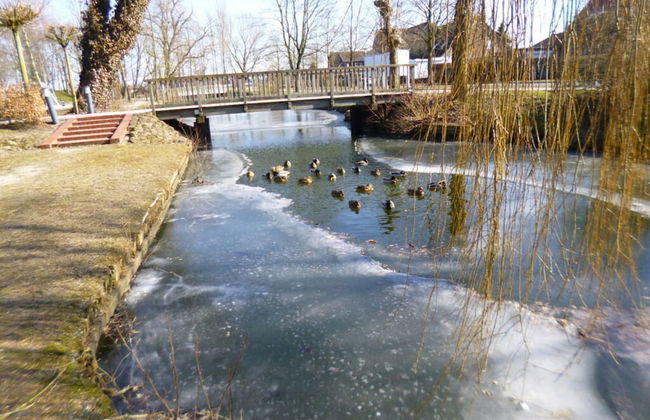 Holiday Home Christmann - Foto 22