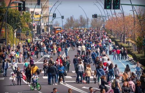 Casalicuti - Foto 14