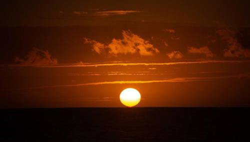 NEW! HARMONY HOUSE - Enjoy a little Peace of Aloha! - Foto 5