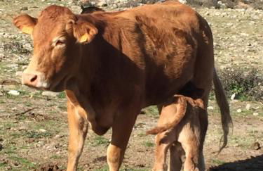 Casa Tio Conejo - Foto 39