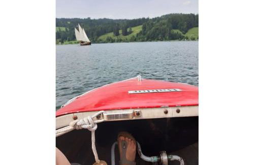 Holiday apartment at Gallus Denneberg - Foto 22