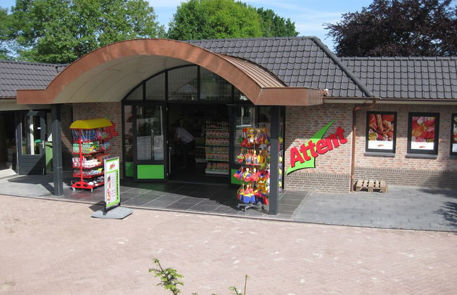 Bungalow in Netherlands With Garden Terrace - Foto 30