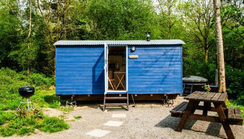 Cosy Shepherd's Hut with Hot Tub - Foto 2