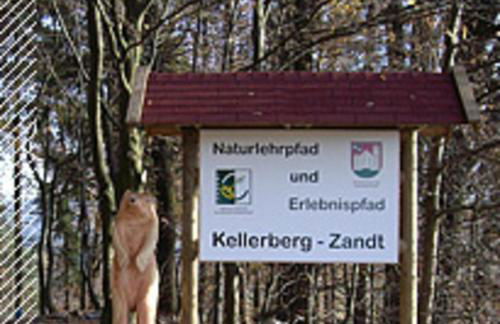 Ferienhaus Meike im Naturpark Bayr - Foto 15