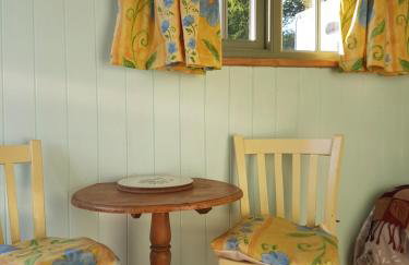 Shepherds hut Dolly wagon - Foto 23