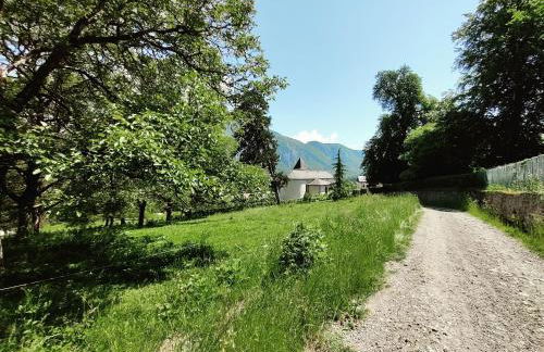 C le birdie - Foto 38