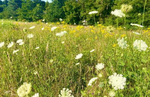 Studio im Haus Amselgarten - Foto 23