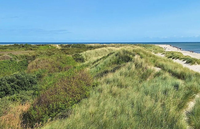 4 Star Holiday Home in Skagen - Foto 33