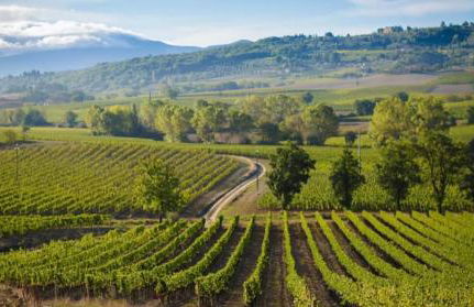 Maison Amiata - Foto 33