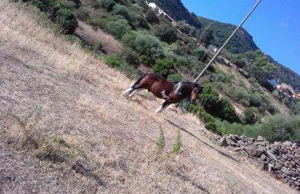 Azienda Agrituristica La Janna di la Faj - Foto 28