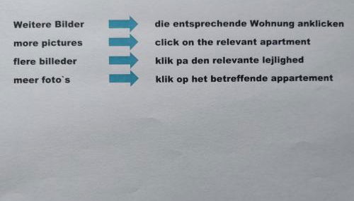 Harzhaus Rauch - Foto 2