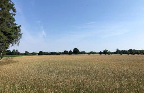 Holiday Home - Uns lütt Hüsung by Interhome - Foto 15