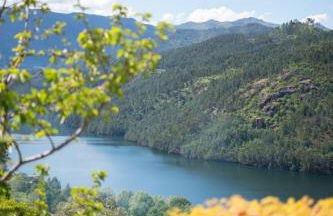 Sousa Horizonte - Louredo - Foto 66