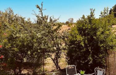 Sofia's House - Foto 11