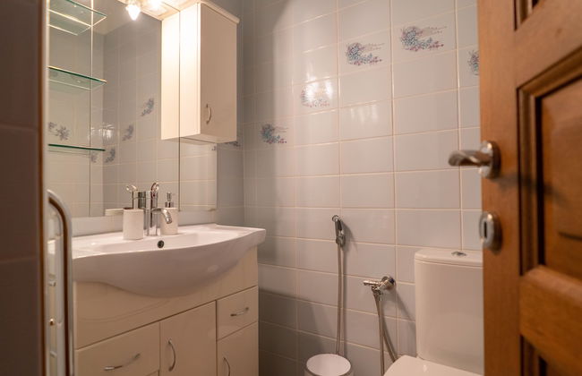 Paul's American Mansion- Volos suburb - Foto 35