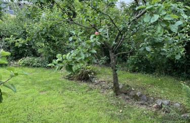 Apple Cottage - Photo 41