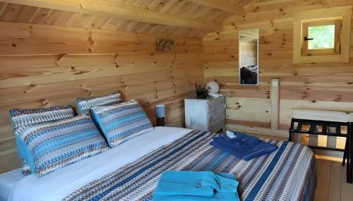 Au chant des oiseaux - rouge gorge - Foto 2