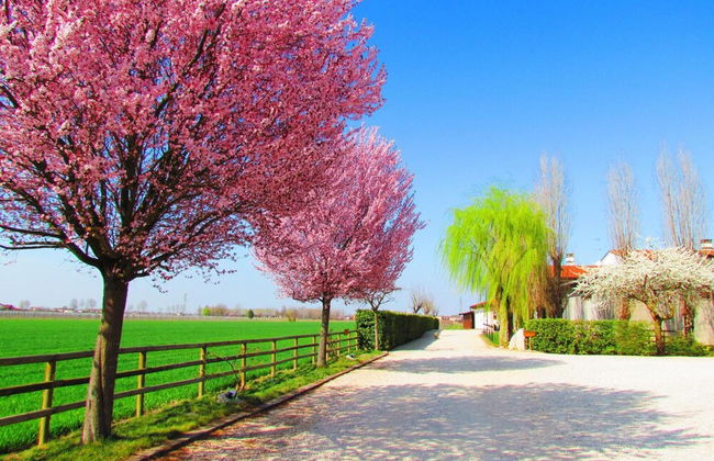 Agriturismo Le Cipressine - Photo 83