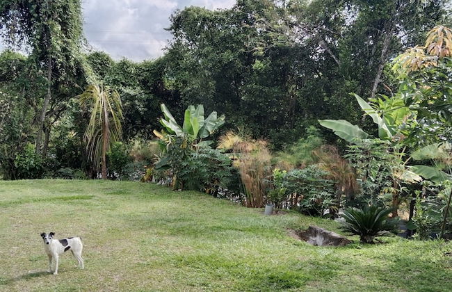 cabañas hotel villa lucia - Photo 62