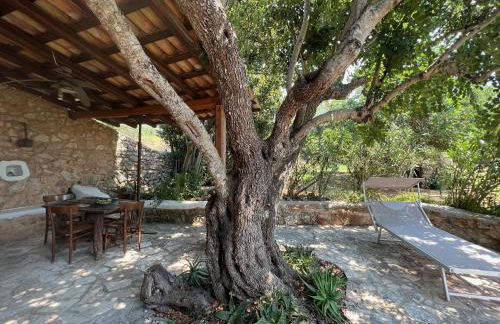 Tenuta Le Farcole by LoveSud - Foto 25