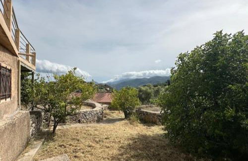 Πυργοσπιτο Χαντζακου - Foto 30