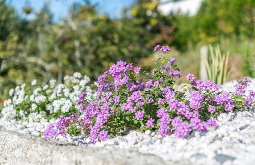 Casa Monte do Cervo - Foto 50