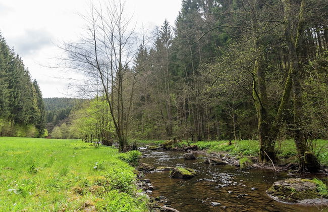 Scenic Stay in Vencimont - Foto 61